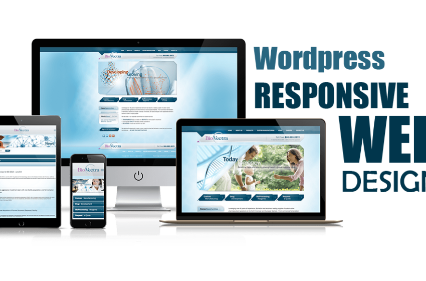Optimize with WordPress: Your Key Choice